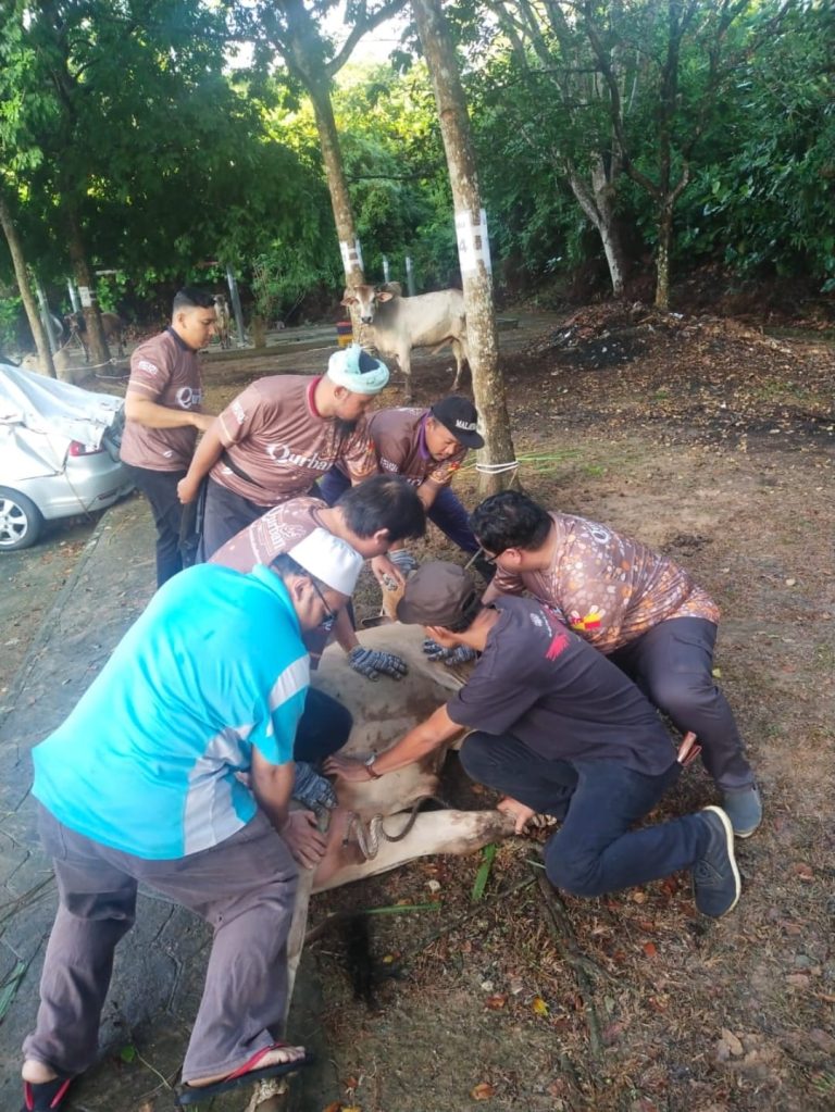 357050329 651817210196815 6936145608726114476 n min