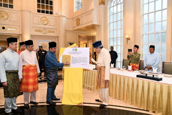 409106072 733934378651764 5472336527028940407 n