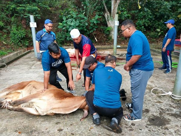 448609761 846100547435146 2850816884554128778 n