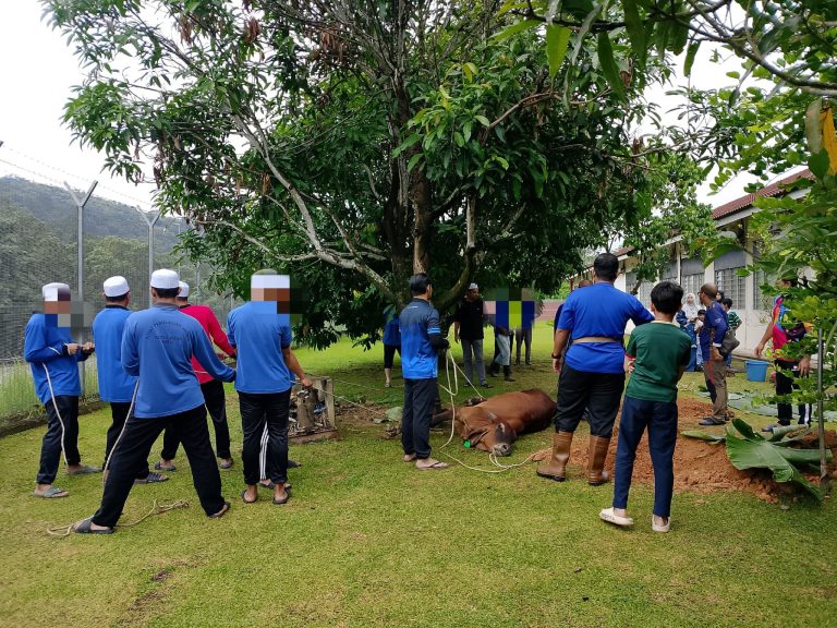 497932351 1093787469333118 6101115102839405159 n