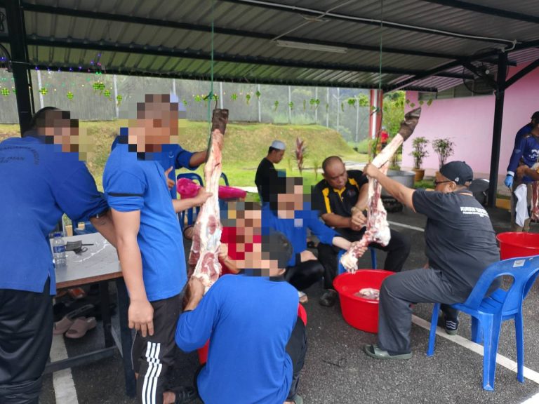 506042922 1093786929333172 4615143839571570995 n